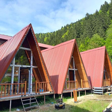 Ay Home Apart&Bungalov Uzungöl Zewnętrze zdjęcie