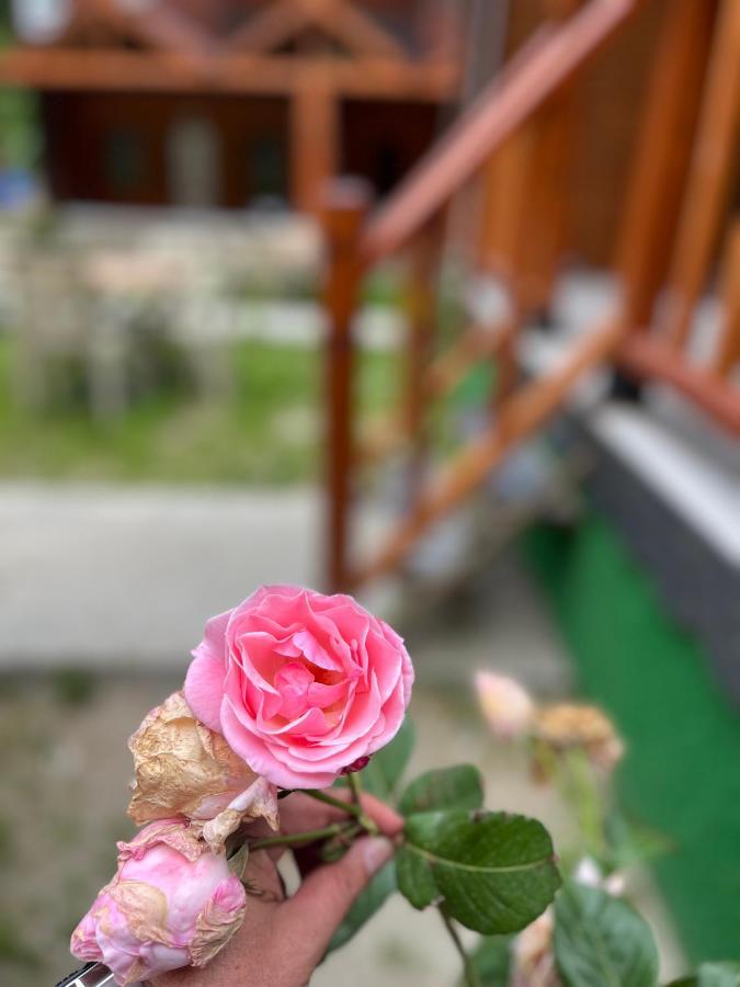 Ay Home Apart&Bungalov Uzungöl Zewnętrze zdjęcie